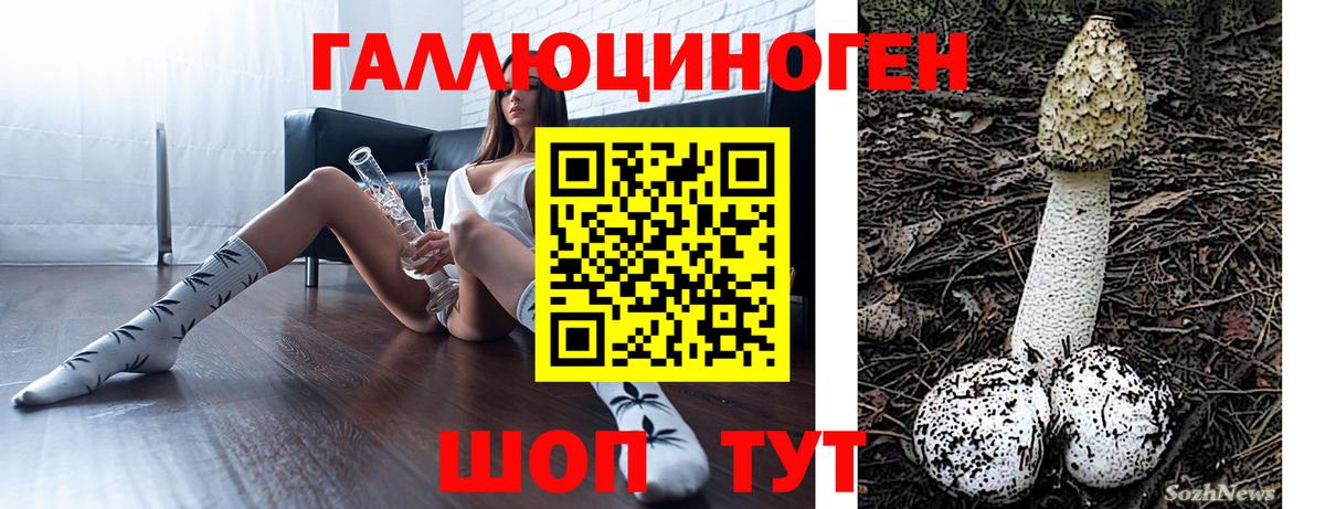 Псилоцибиновые грибы ЛСД Бердск