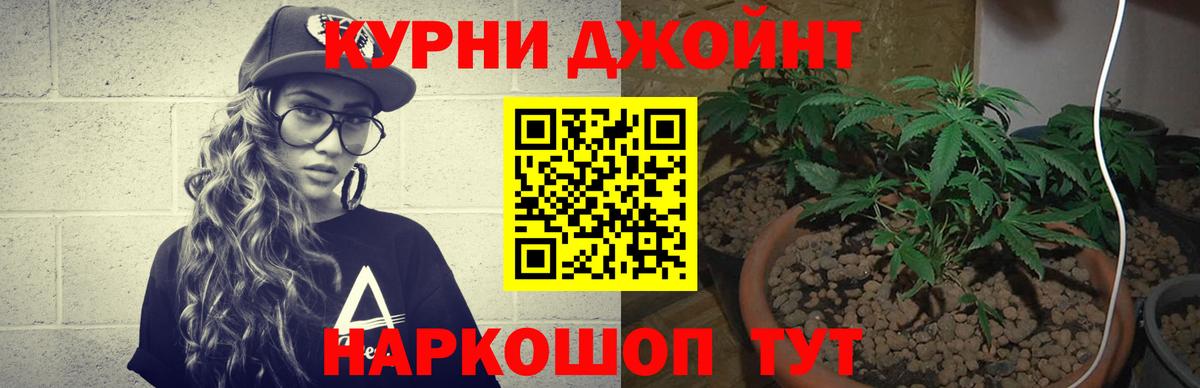 Бошки Шишки конопля Бердск